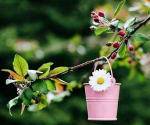 Jubiliejiniai gimtadienio sveikinimai skrieja VILIJAI LUKAUSKIENEI