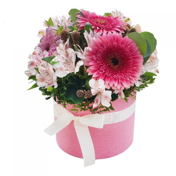 Jubiliejiniai gimtadienio sveikinimai REGINAI ČĖSNIENEI